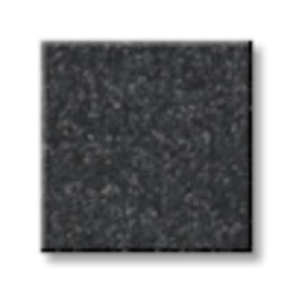 Shaw Little Neck Bay Slate Texture Carpet with Pet Perfect-Sample